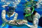 Lunch and Snorkel Sail in Barbados