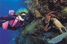 Las Terrenas Scuba Diving Discovery Course