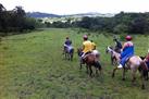 Samaná Mega Adventure: Horseback Riding, Swimming at El Limón Waterfall and Ziplining