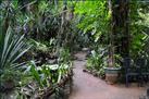 Carambola Botanical Gardens & Trails