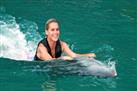 Dolphin Swim Adventure