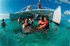 Stingray City and Turtle Farm