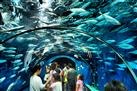 Shanghai Ocean Aquarium