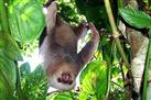 Carara National Park from Arenal