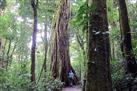 Guided Tour Santa Elena Reserve