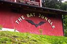 Monteverde Bat Jungle