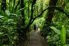 Natural History Walk at Selvatura Park