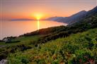 Peljesac Wine Tour