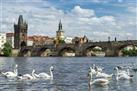 Charles Bridge (Karluv Most)