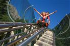 Alpine Coaster