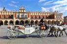 Horse and Carriage Tour