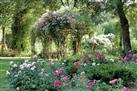 Visit of the Rose Garden in Saumur