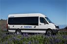 Puffin and Volcano Tour in South Iceland