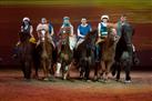 The Icelandic Horse Park: Fakasel