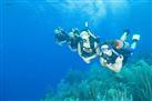 Discover Scuba Diving Gili Islands
