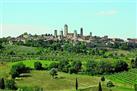 Wine Tasting Tour in the Tuscan's Hills from Pisa