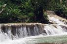 Martha Brae River Rafting