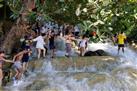 Dunn's River Falls and Fern Gully Highlight Adventure