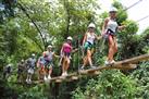 Canopy Tour - Zipline Adventure