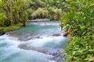 Dunn's River Falls