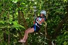 Canopy Zip Line at Mystic Mountain