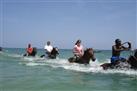 Heritage Beach Horse Ride