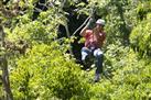 Jamaican Canopy Tour