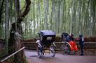 Arashiyama: Bamboo Groves & Temples Walking Tour