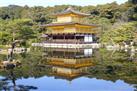 Kyoto and Nara Day Tour Including Golden Pavilion and Todai-ji Temple from Osaka