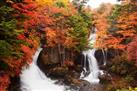 Nikko National Park Day Trip from Tokyo