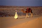 Wadi Araba Desert