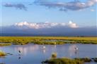 Lake Amboseli