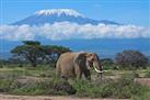 Mount Kilimanjaro