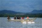 Lake Naivasha Full-Day Tour with Lunch