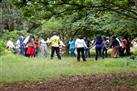 Nairobi Arboretum