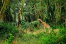 Lake Nakuru National Park