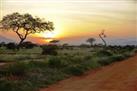 Tsavo East National Park