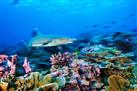 Phoenix Island Marine Protected Area