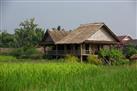 Living Land Lao Organic Farm