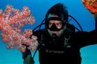 Scuba diving (Nosy Sakatia)