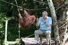 Sepilok Orangutan Rehabilitation Center