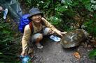 Penang National Park