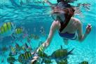 Pulau Payar Marine Park Snorkeling Tour