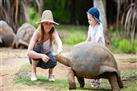 Crocodile & Giant Tortoises Park