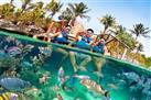 Tulum and Xel-Ha All Inclusive Day Trip from Cancun