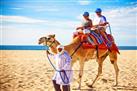 Baja Ranch Tour and Camel Safari from Los Cabos
