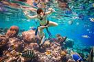 Los Cabos Sea Adventure: Snorkeling, Kayaking and Stand-Up Paddleboarding