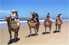 Camel Riding Tour with Mint Tea Tasting from Agadir