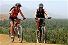 Guided Bike Tour of Agadir with Souss-Massa National Park Visit