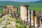 Full Day Meknes and Volubilis Sightseeing Tour from Fes